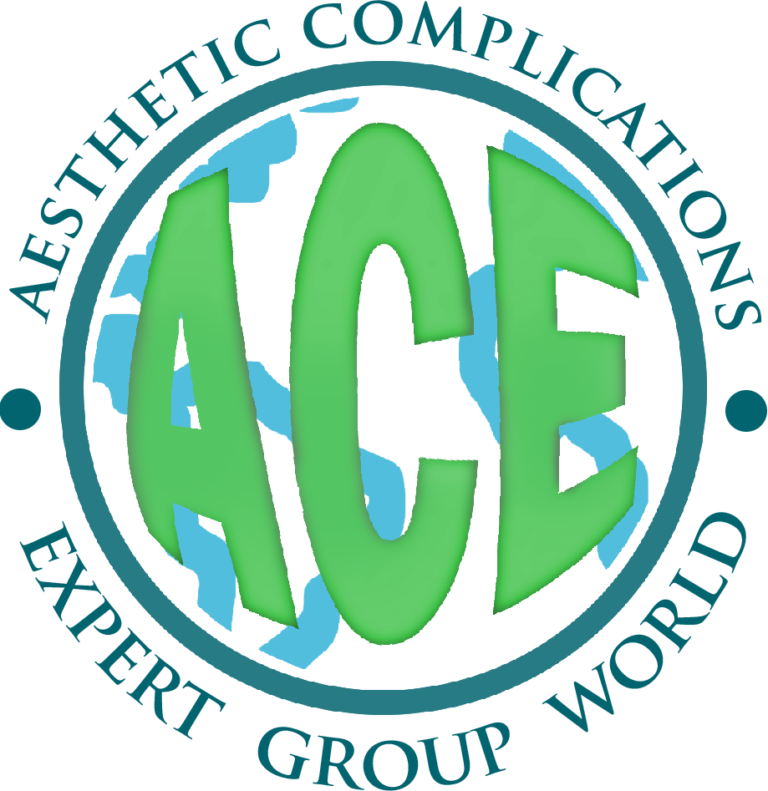 ACE group world logo