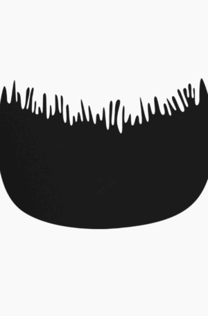Hairline optimiser comb